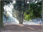 foto Parco di Villa Borghese